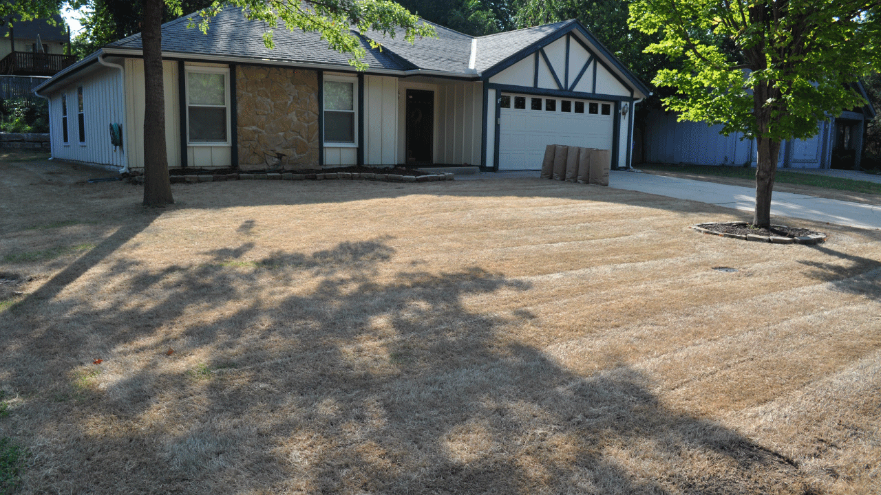 Total Lawn Renovation Total Lawn Renovation