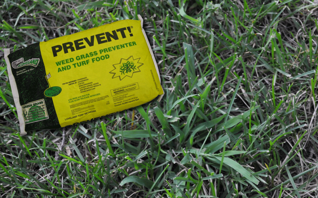 Prevent Crabgrass in Your Lawn