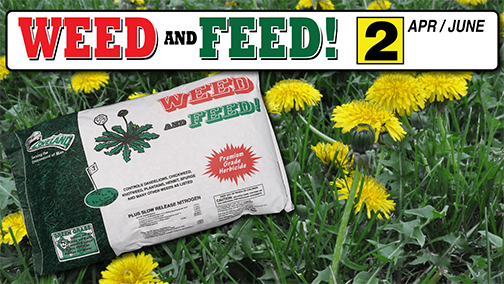 Step Two Weed and Feed