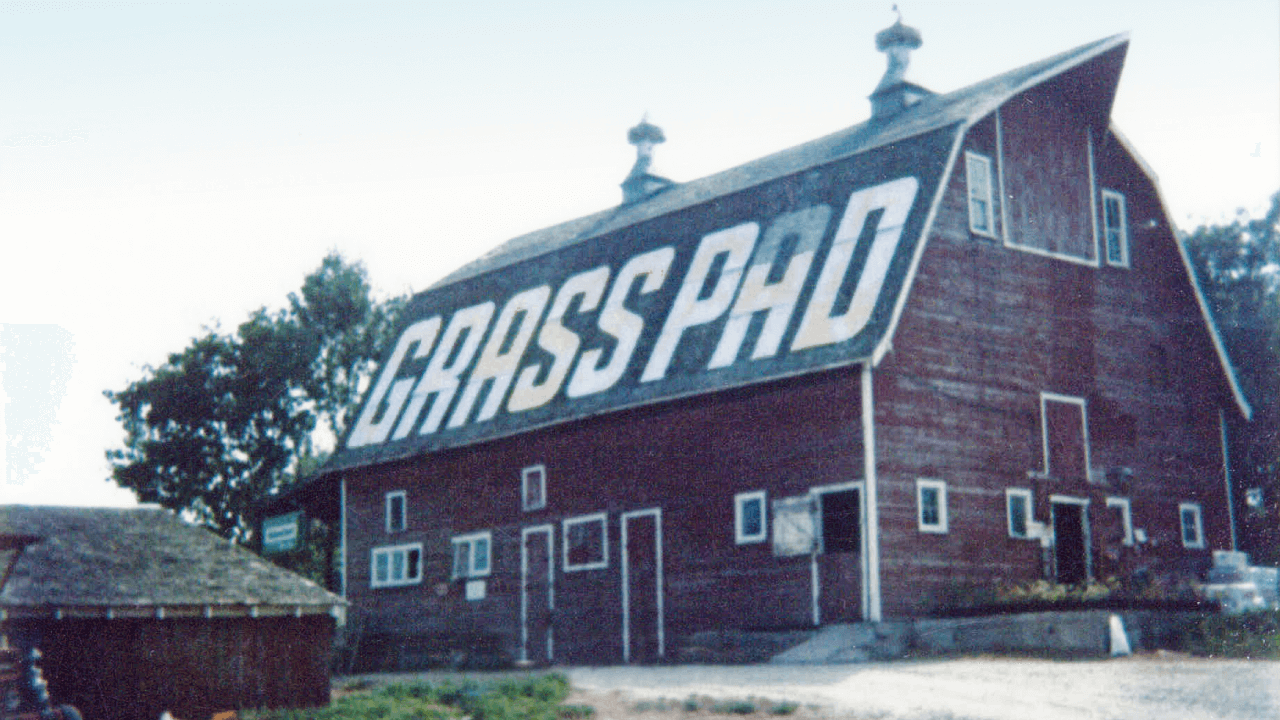 Our Story Grass Pad