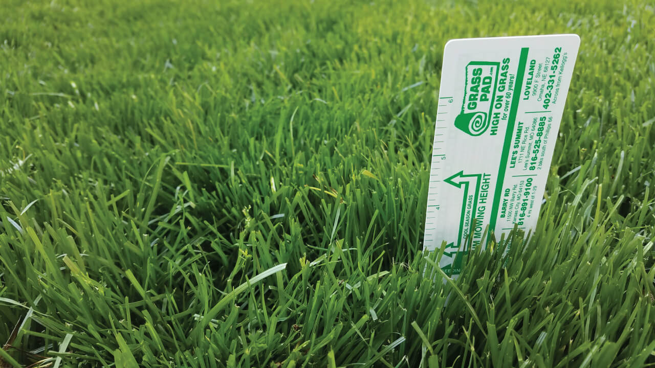 Mow Fescue and Bluegrass Lawns to 3-4 Inches