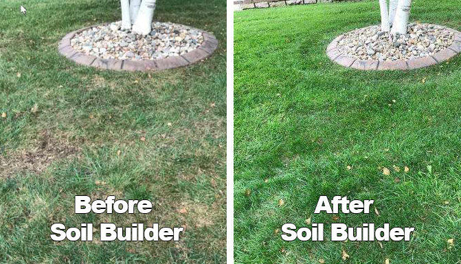 Reduce Soil Compaction with C20 Soil Builder