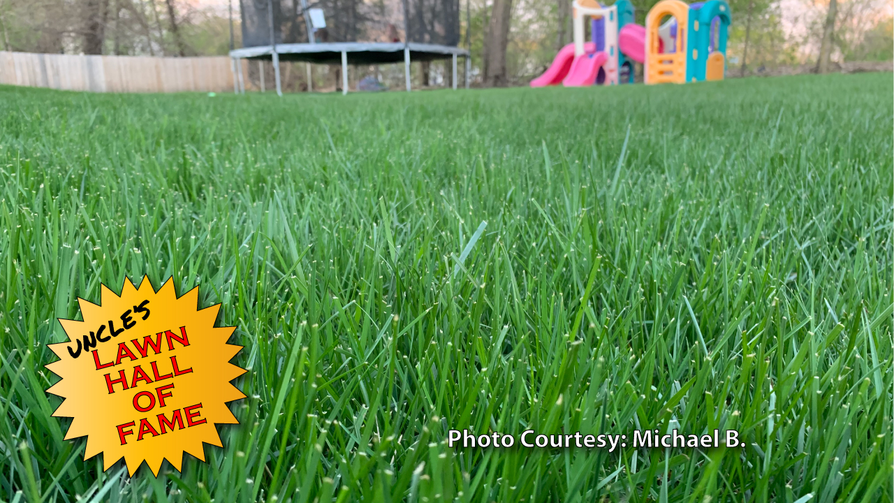 Michael B. - Testimonial - Grass Pad