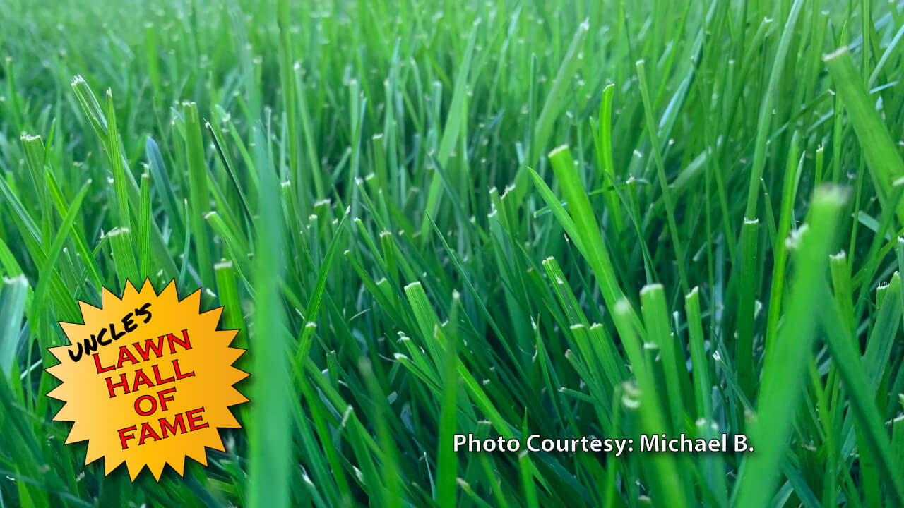 Michael B. - Testimonial - Grass Pad