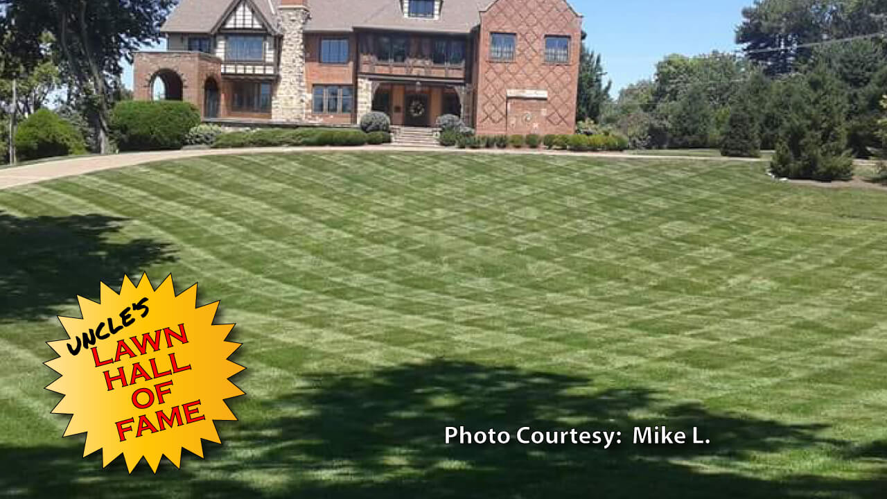 Mike L. - Lawn Hall of Fame