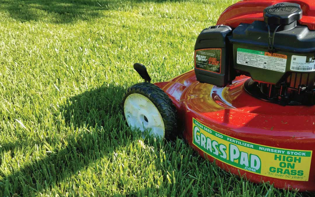 Mowing Height of Cut for Your Grass