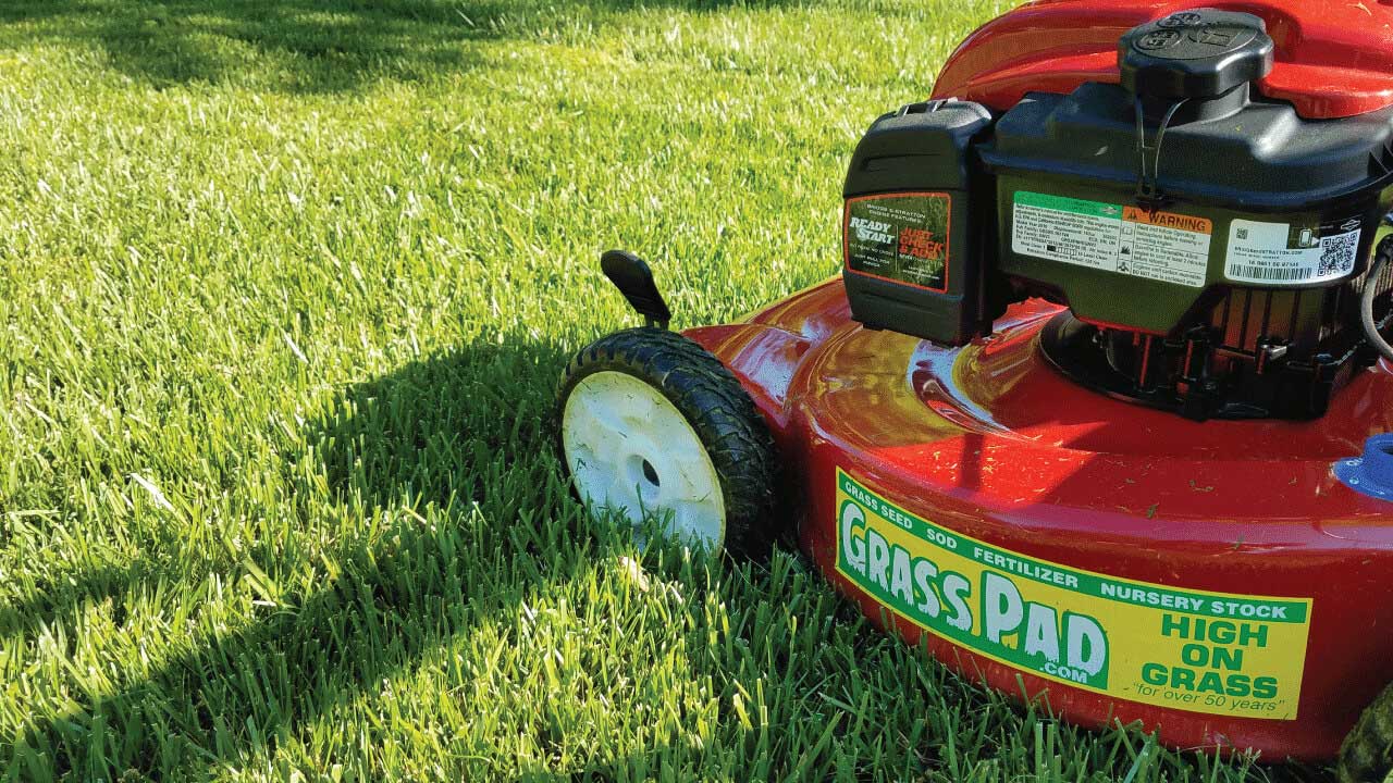 Mow Your Lawn Short Before Overseeding