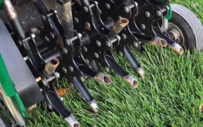Verticutting or Core Aerating the Lawn