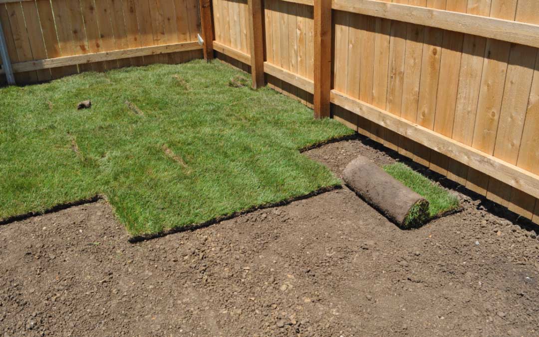 How to Install and Water Sod