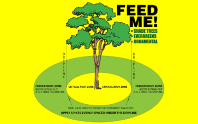 Fertilize for Healthy Trees and Shrubs