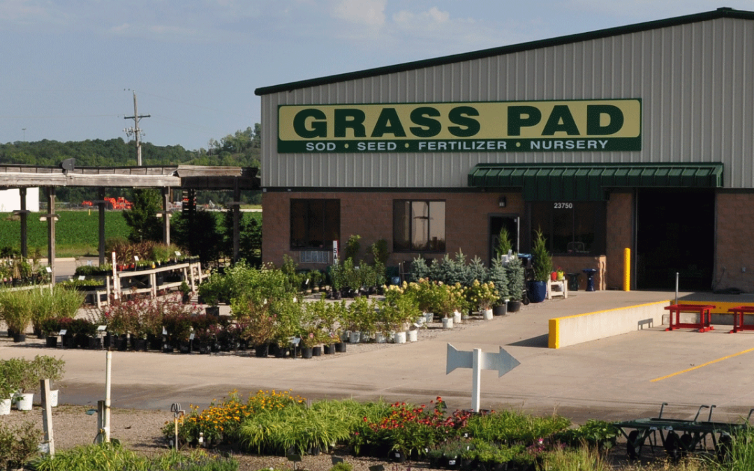 Bonner Springs Grass Pad