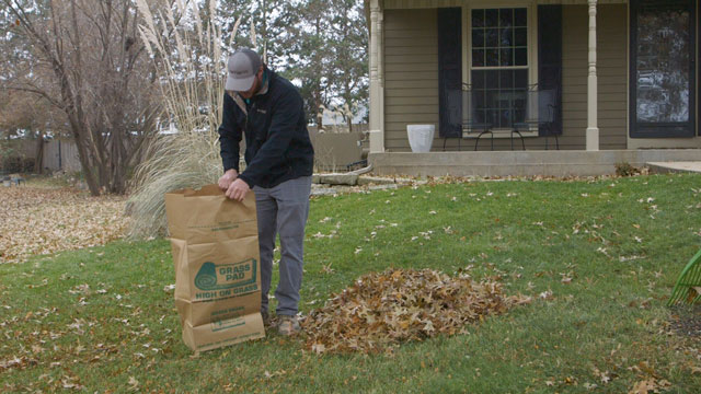 Fall Lawn Clean Up