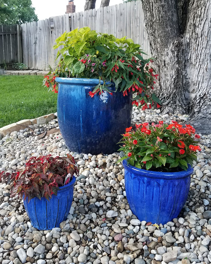 Container Gardening in Pots at the Grass Pad