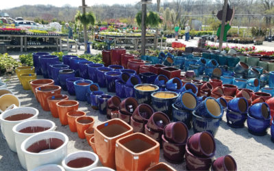 Flower Pots for Sale at the Grass Pad