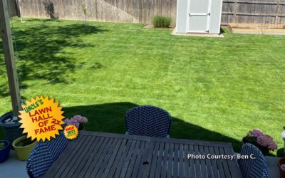 Ben C. – Testimonial