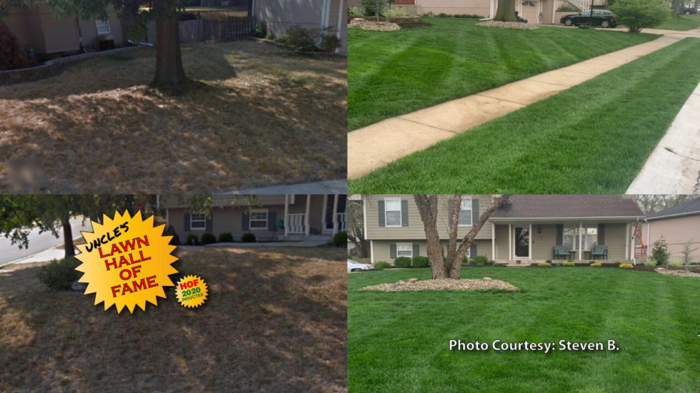 Steven B. - Testimonial - Grass Pad