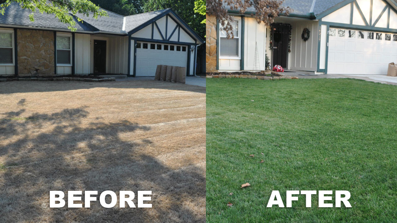 Total Lawn Restoration - Killing Your Yard and Starting Over - Grass Pad