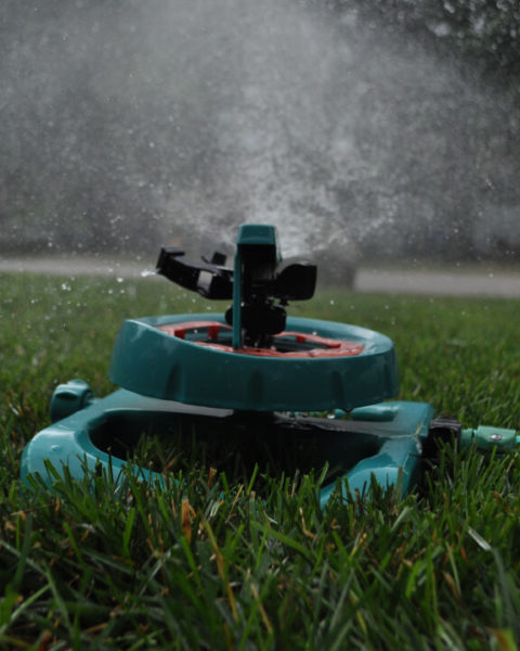 Syringing Turf During Extreme Heat - Grass Pad