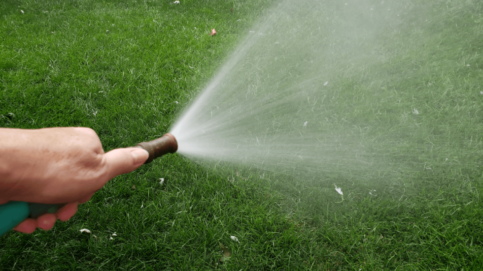 Syringing Turf During Extreme Heat - Grass Pad