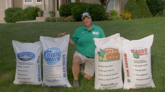 How to Choose the Right Grass Seed for Your Lawn