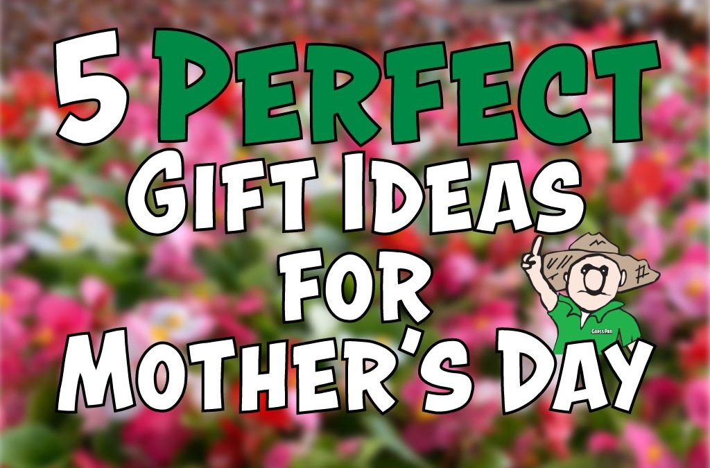 5 Perfect Gifts for Mother’s Day