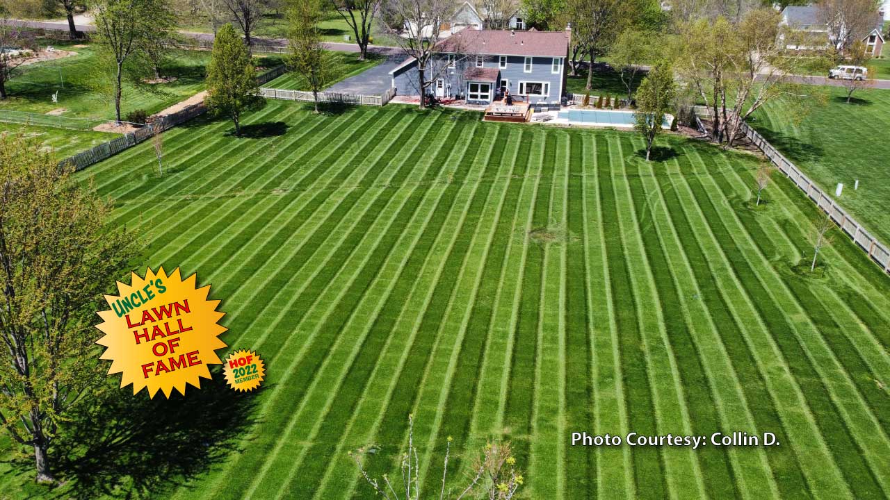 Colling D. - Grass Pad Lawn Hall of Fame 2022