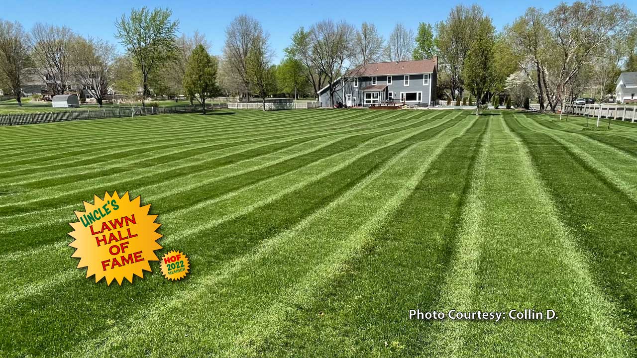 Colling D. - Grass Pad Lawn Hall of Fame 2022