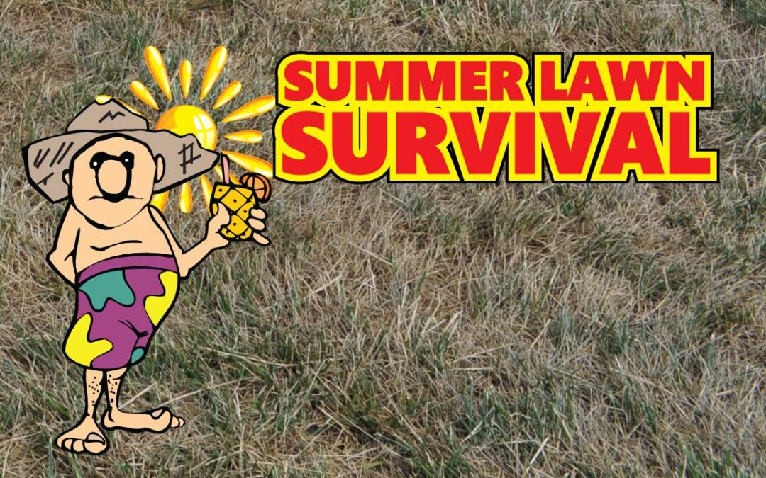 Five Smart Tips for Summer Lawn Survival