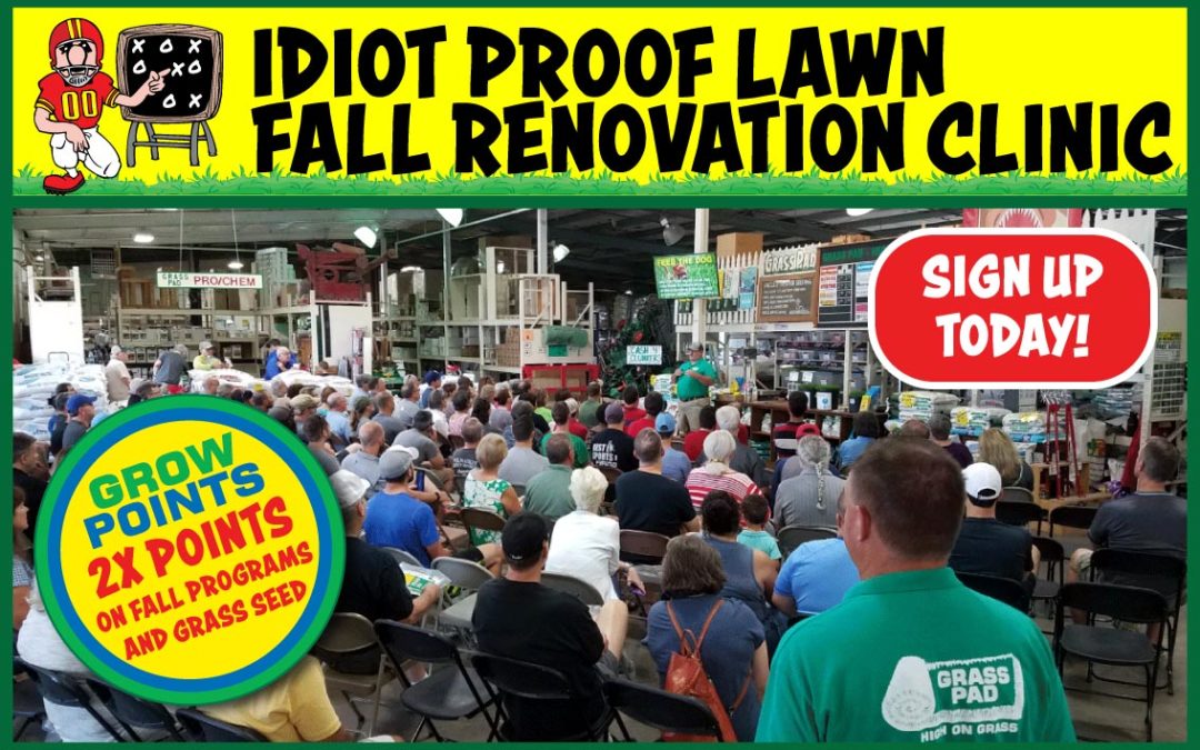 Idiot Proof Lawn Fall Renovation Clinic 2022