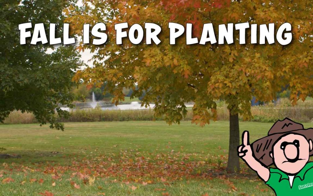Fall is for planting trees and shrubs.