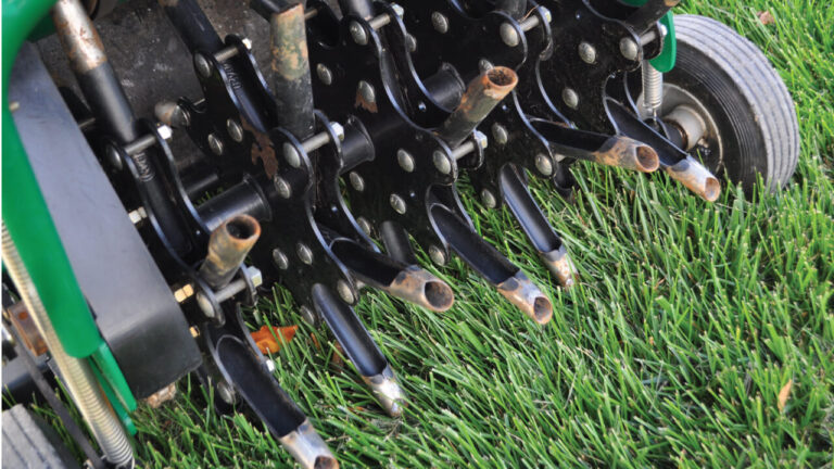 How to Control Weeds After Overseeding | Grass Pad