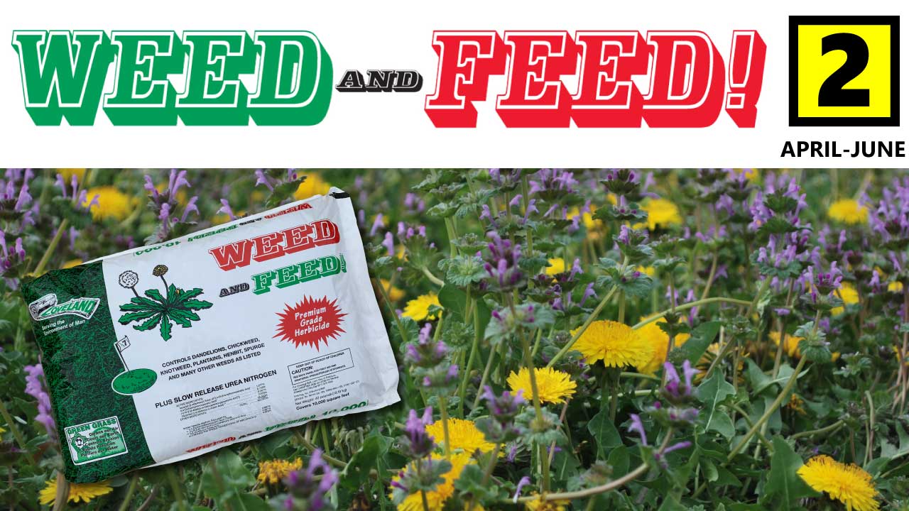 WEED AND FEED STEP 2 IDIOT PROOF LAWN PROGRAM