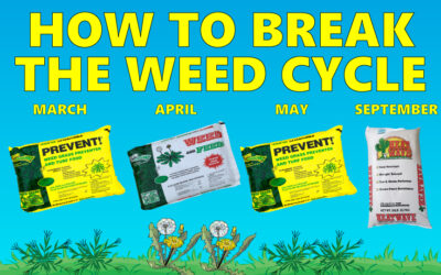 How to Stop the Weed Cycle