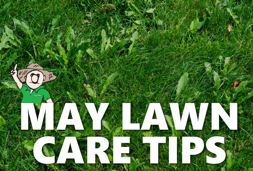 May Lawn Care Tips