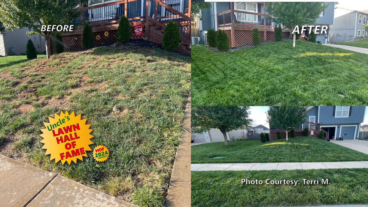 Before and After using Macho Mix grass seed.