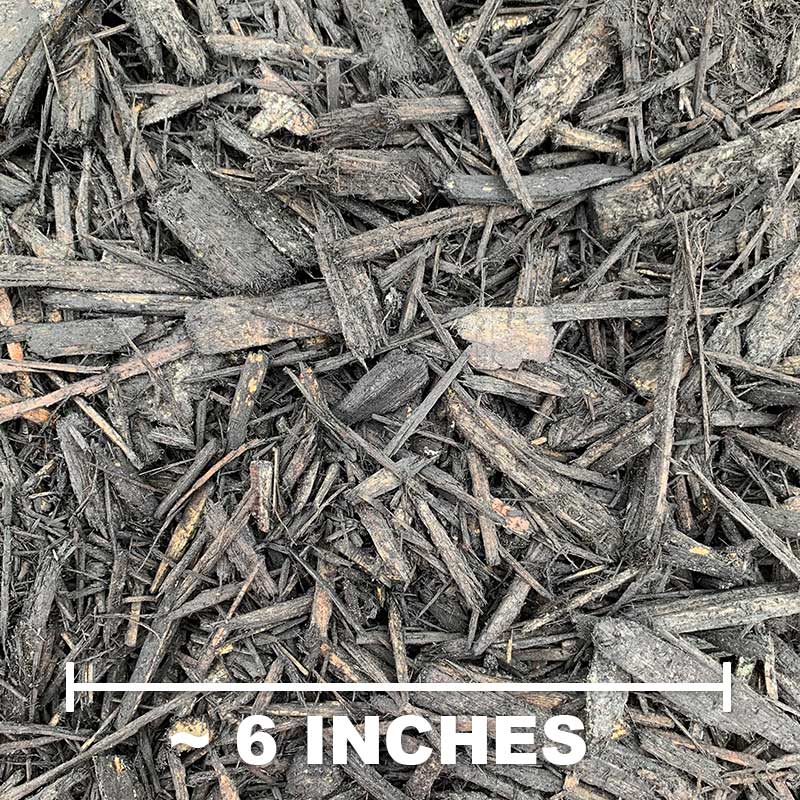 Black Dyed Mulch