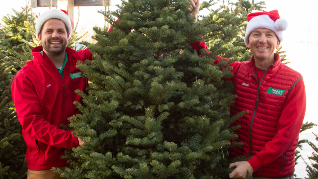Real Christmas Trees for Sale in Kansas City