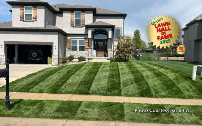 Grant A. – Lawn Hall of Fame
