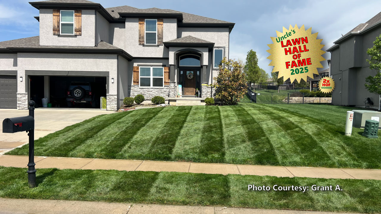 Image of a thick, lush, dark green front lawn that was submitted by a customer.