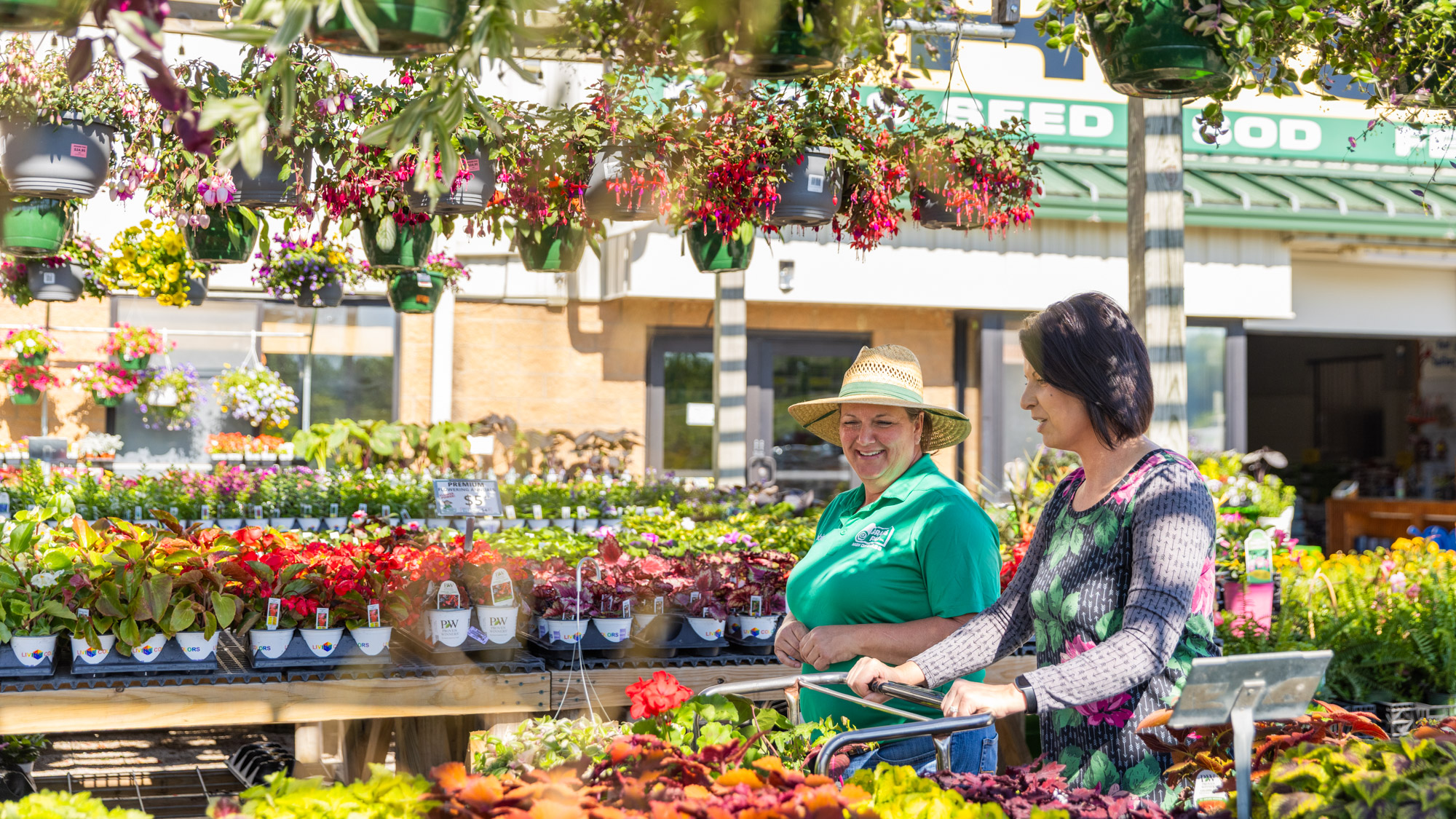 Explore Nursery Stock