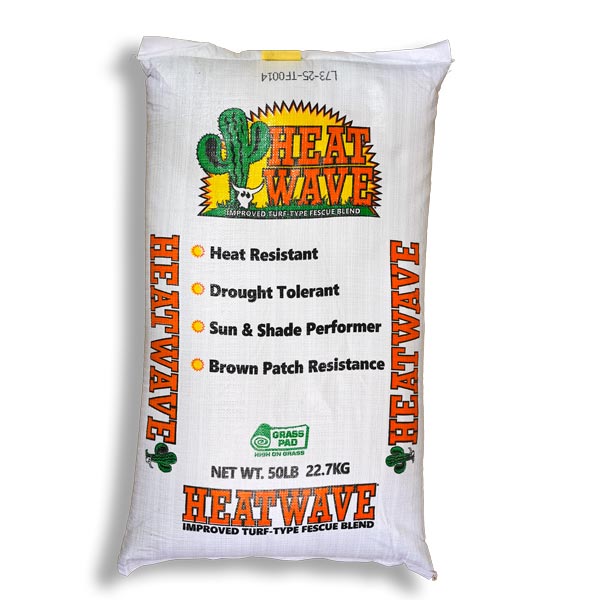 Heat Wave® Fescue