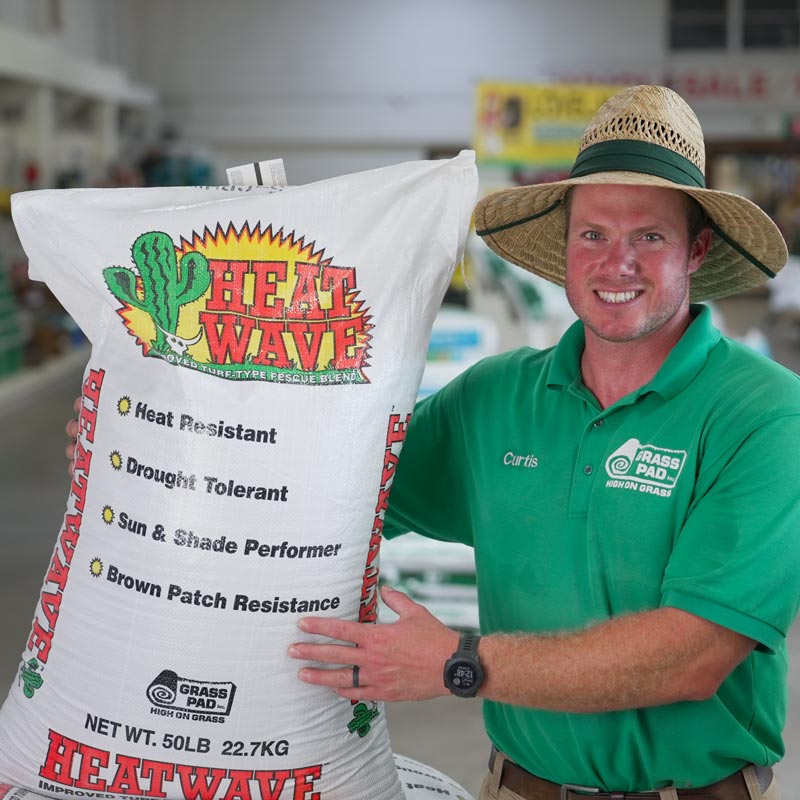 Heat Wave® Fescue