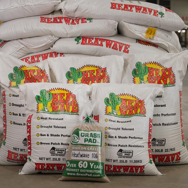 Heat Wave® Fescue