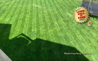 Justin A. – Lawn Hall of Fame