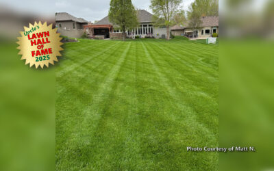 Matt N. – Lawn Hall of Fame
