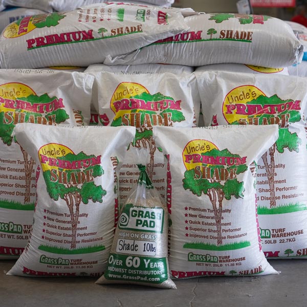 Premium Shade Grass
