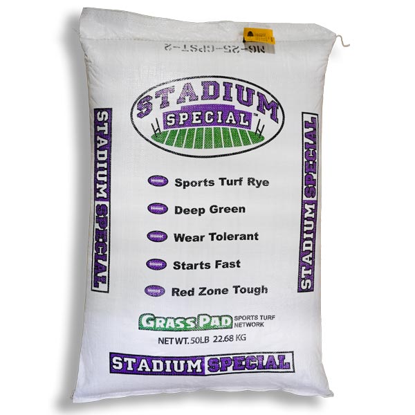 Stadium Special Rye Grass