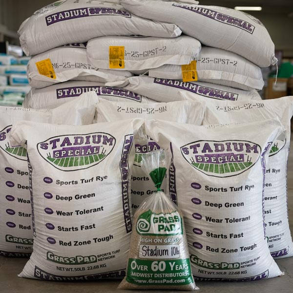 Stadium Special Rye Grass