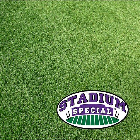 Stadium Special Rye Grass