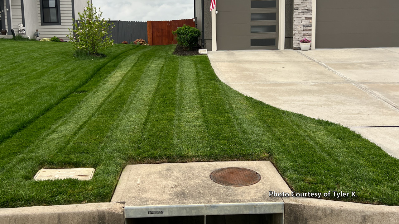 Tyler-K.-2025-2 Image of a thick, lush, dark green front lawn that was submitted by a customer.